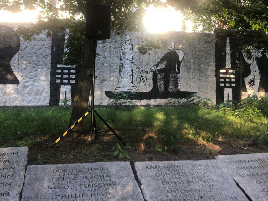 Abendstimmung im Parlament der Bäume